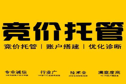 百度网络推广案例分享：低成本打造爆款品牌，助力企业腾飞